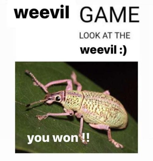 trannies hang out in the park